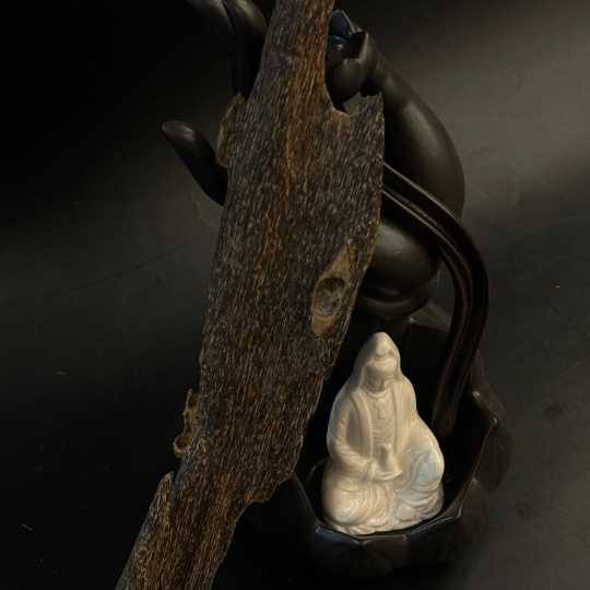 image_1768295637489_compressed