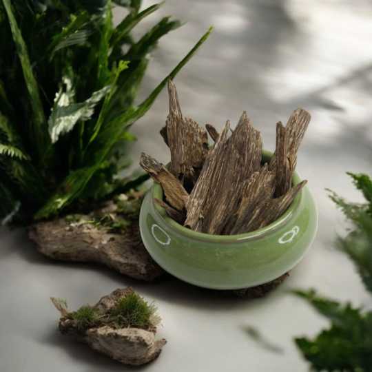 image_1768295637992_compressed