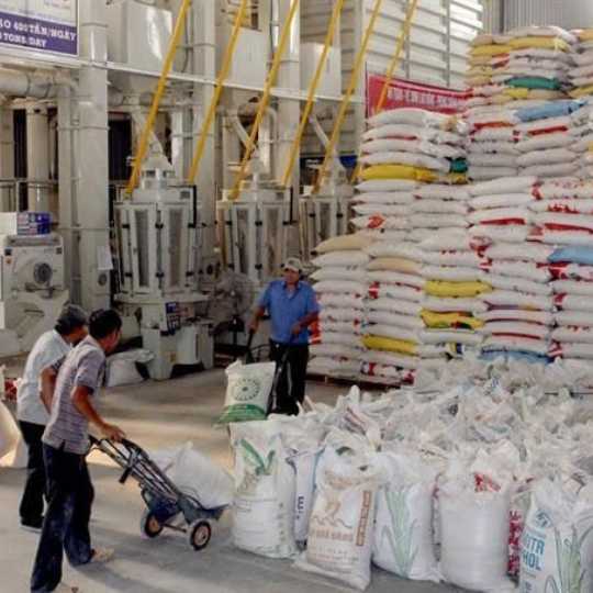 image_1768556220218_compressed