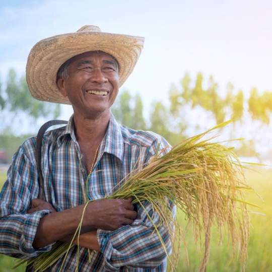 image_1768556221739_compressed