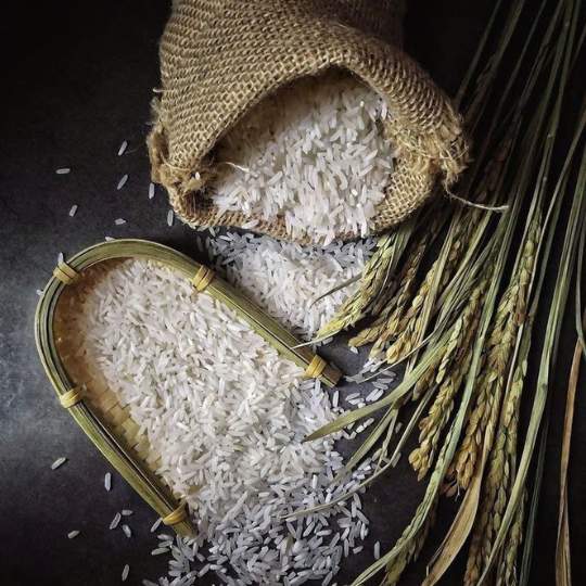 image_1768556222257_compressed