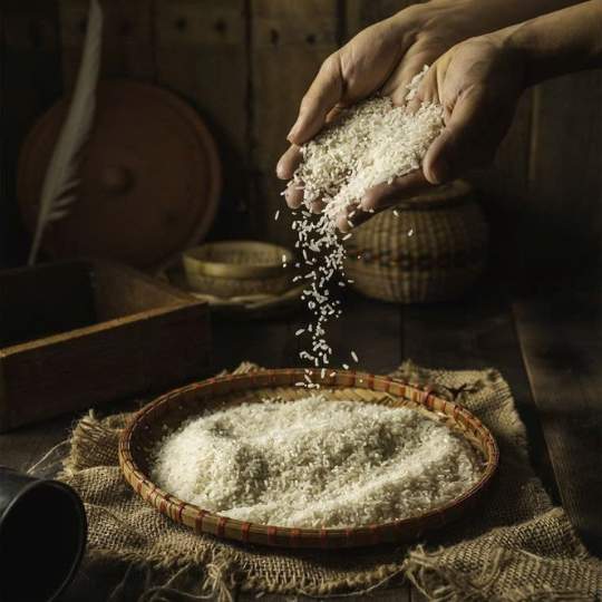 image_1768556223271_compressed